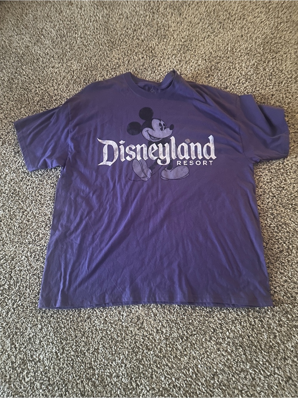Hanes Purple Disneyland Resort Walt Disney World Graphic Tee